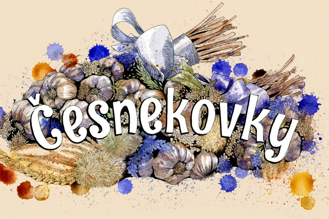 Česnekovky 2024