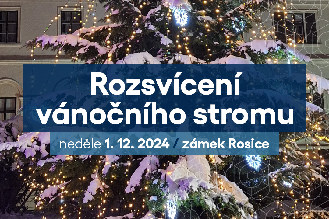 Rozsvícení vánočního stromu