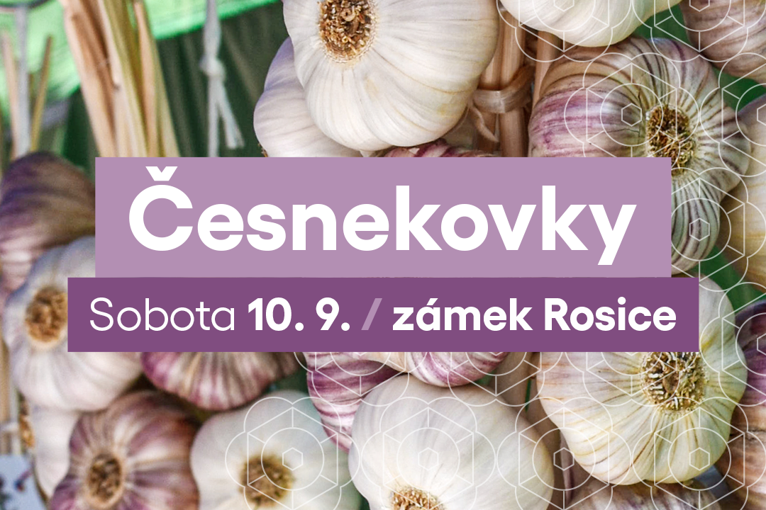Česnekovky